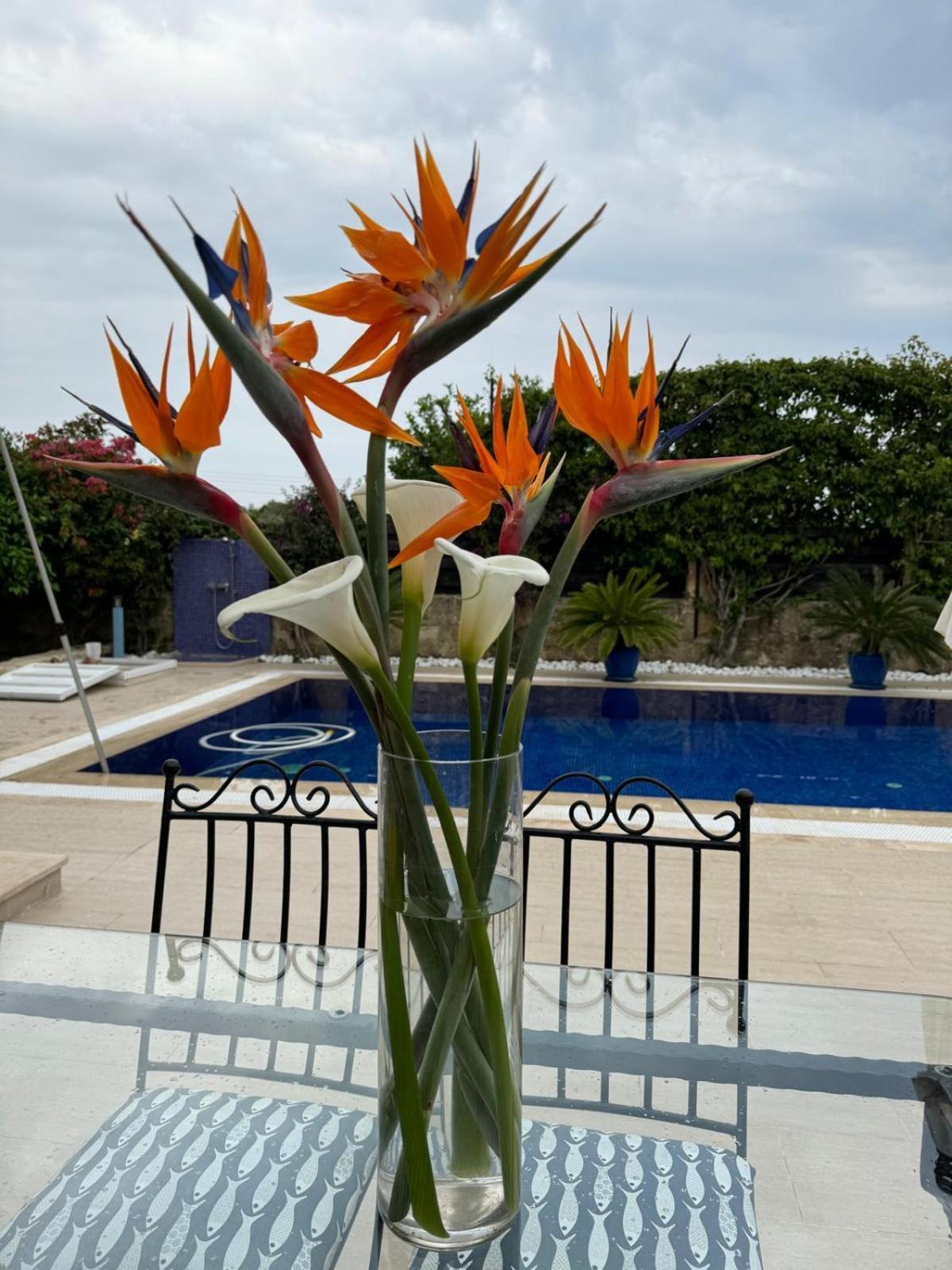 Casa Santos Kyrenia Villa ไคริเนีย ภายนอก รูปภาพ